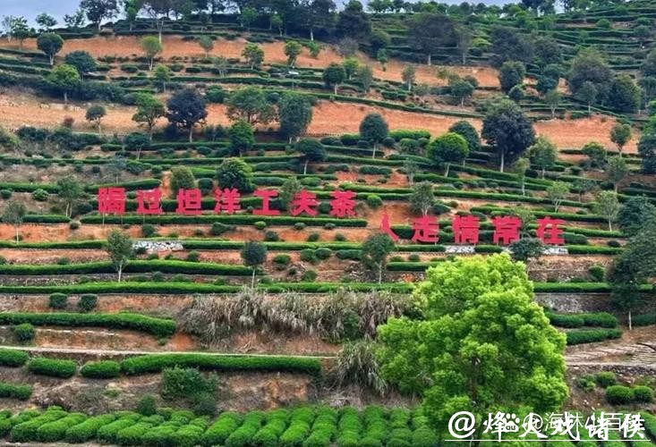 昔日山“锁”村 如今网红点 昔日山“锁”村 如今网红点